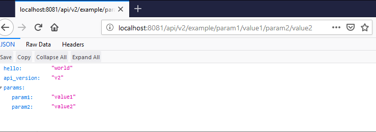 Example API endpoint call result