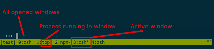 Showing where the windows are displayed in tmux