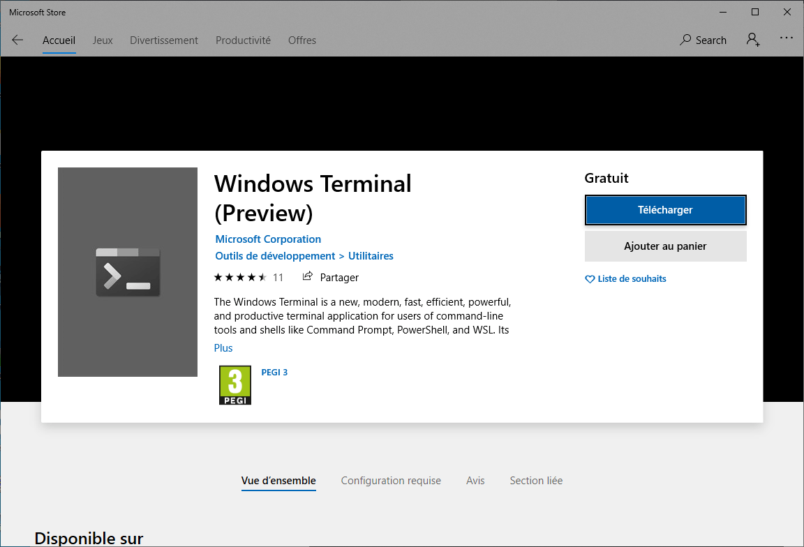 Installing the Windows Terminal (preview) from the Windows Store