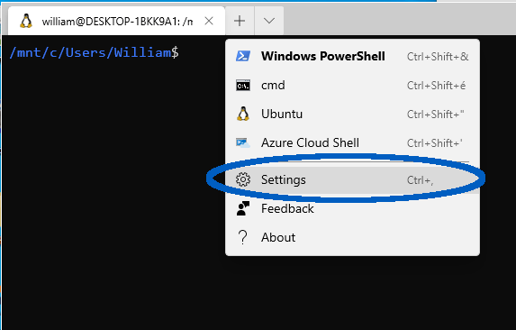 The Windows Terminal (preview) app settings location