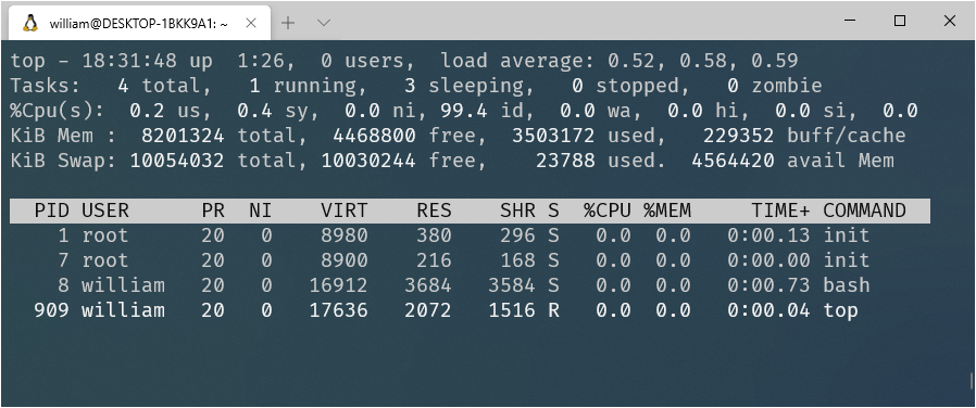 Output of the top command in WSL